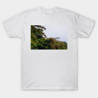 coniferous dew T-Shirt